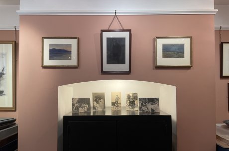 The Pink Room