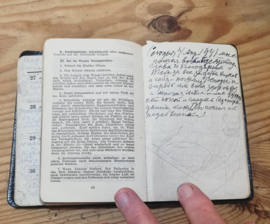 Leonid's Diary